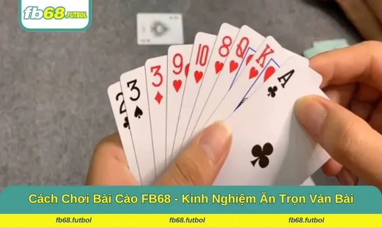 Cách Chơi Bài Cào