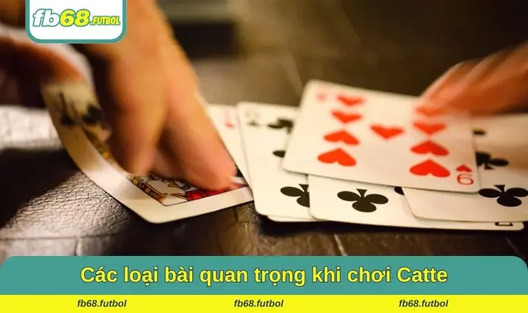 Các loại bài quan trọng khi chơi Catte người chơi cần biết
