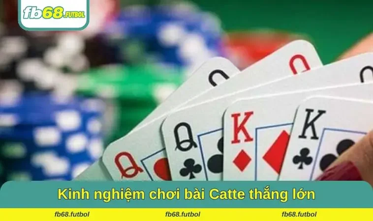 Kinh nghiệm chơi bài Catte thắng lớn được nhiều người áp dụng
