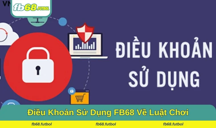 Nắm bắt rõ các điều khoản sử dụng sẽ mang lại lợi ích hấp dẫn