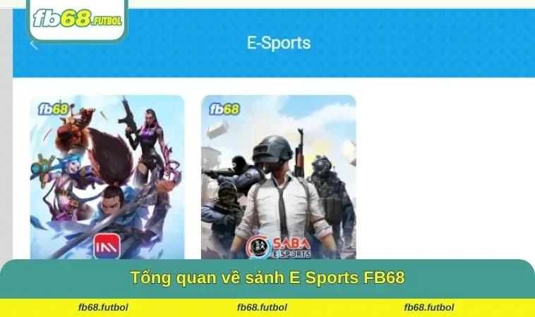 Tổng quan về sảnh E Sports